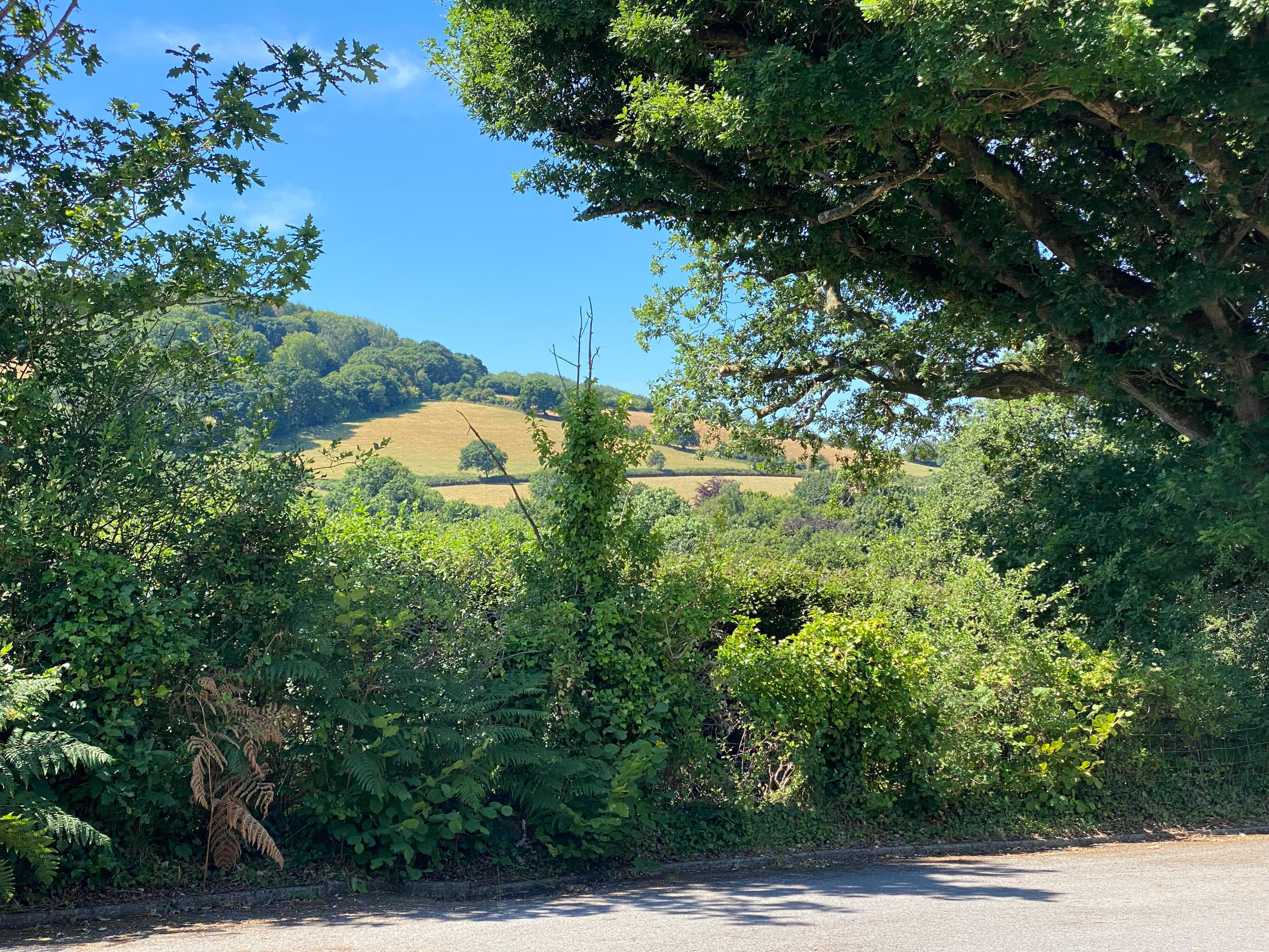 Elworthy Monksilver Nettlecombe Community Hall