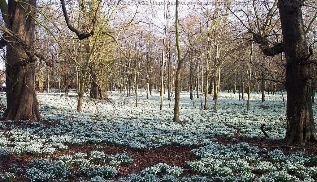 Welford Park