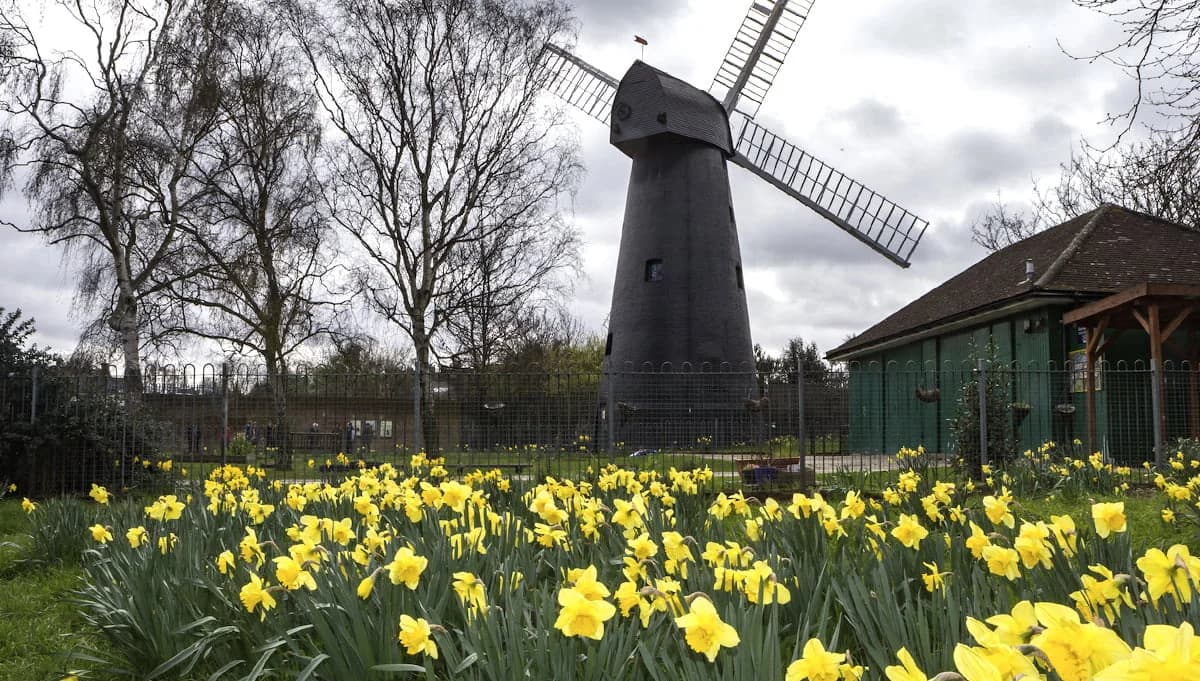 Windmill Gardens