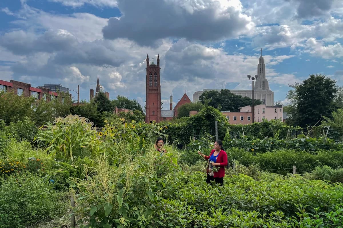 Landmark Community Garden