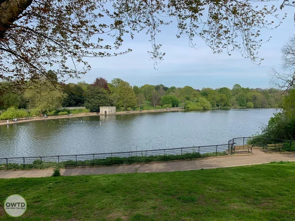 Mote Park