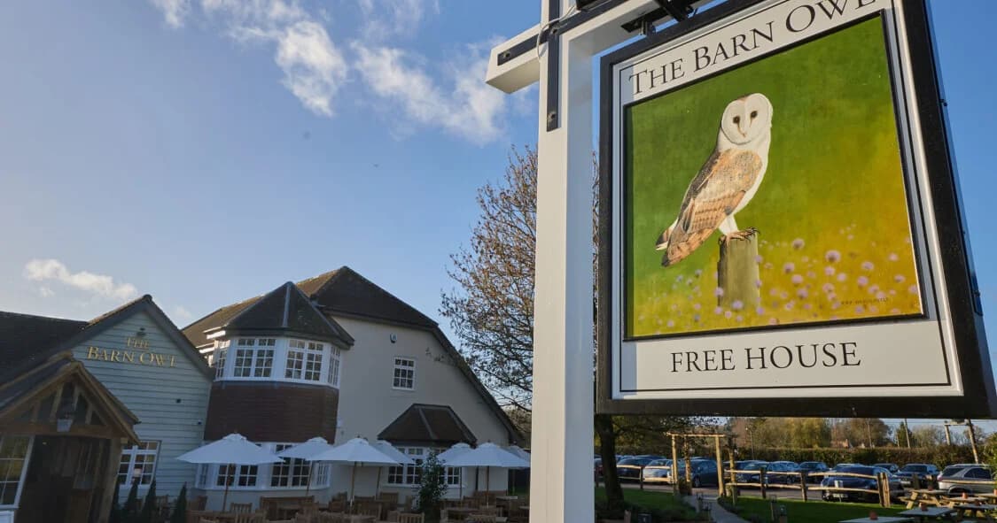 The Barn Owl