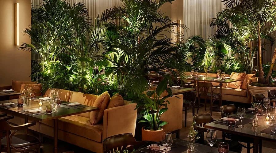 The Terrace