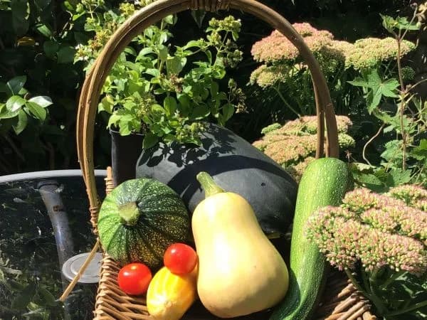 Kingsbridge Community Garden
