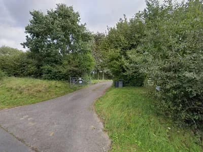 Zeals Green Pastures