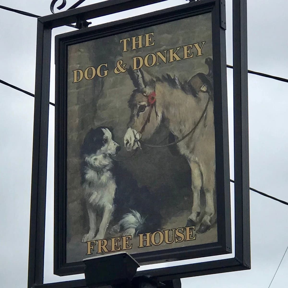 The Dog and Donkey