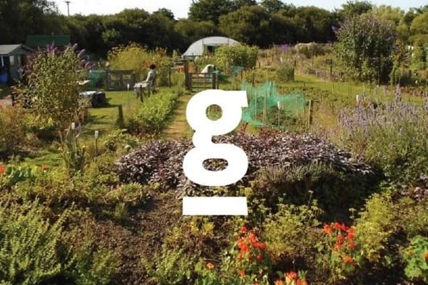 Growing Links - Street Food Project