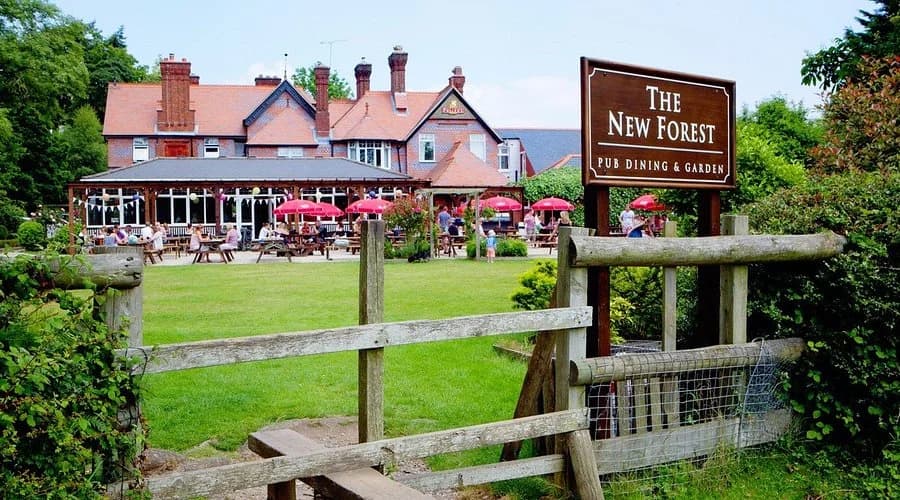 The New Forest, Ashurst