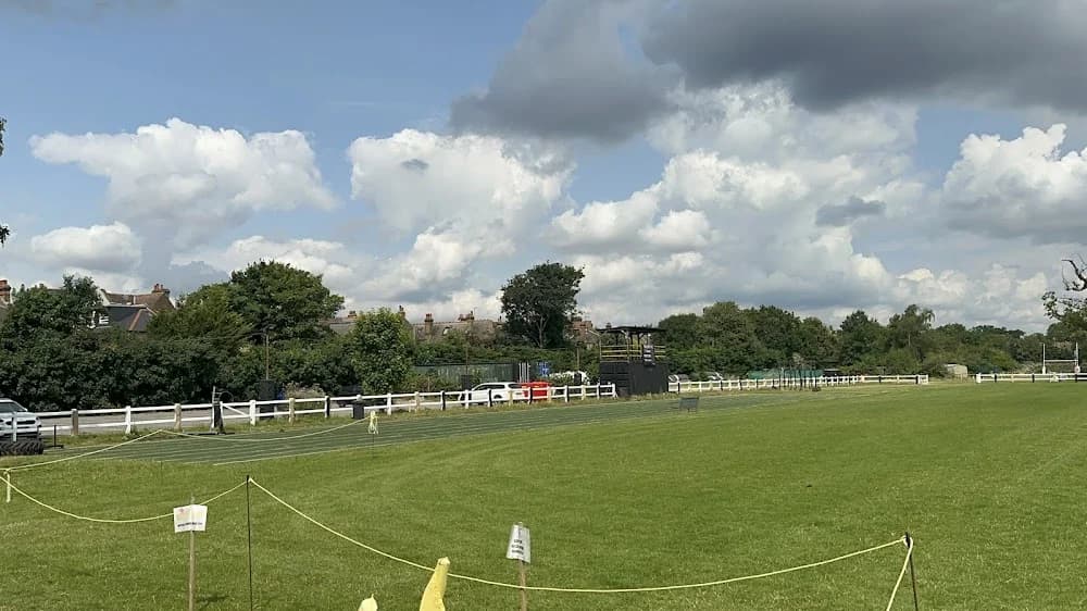Wasps FC