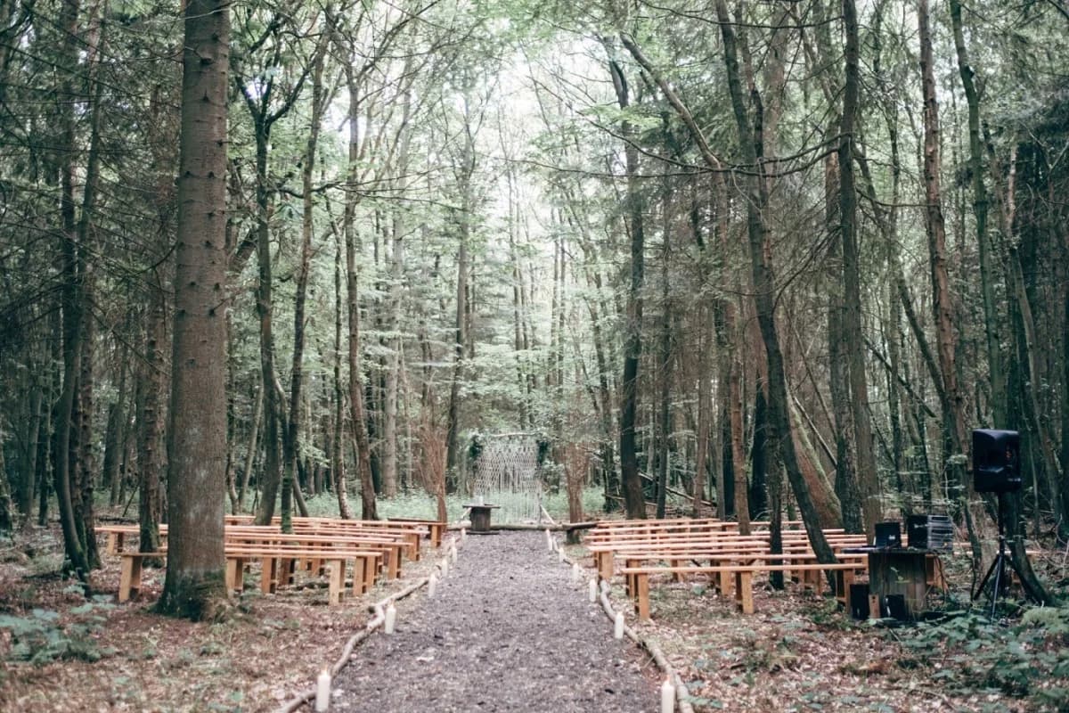 Longton Wood
