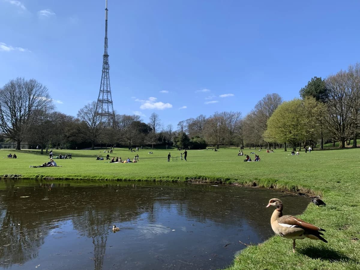 Crystal Palace Park