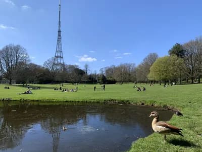 Crystal Palace Park