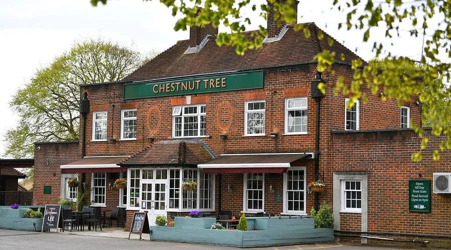 Chestnut Tree