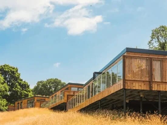 The Mole Resort & Lodges