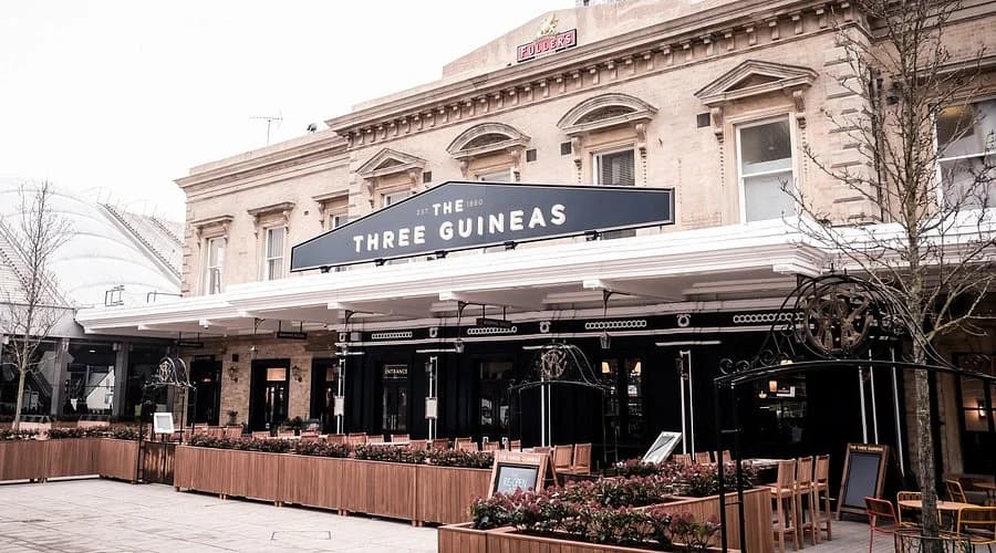 The Three Guineas, Reading