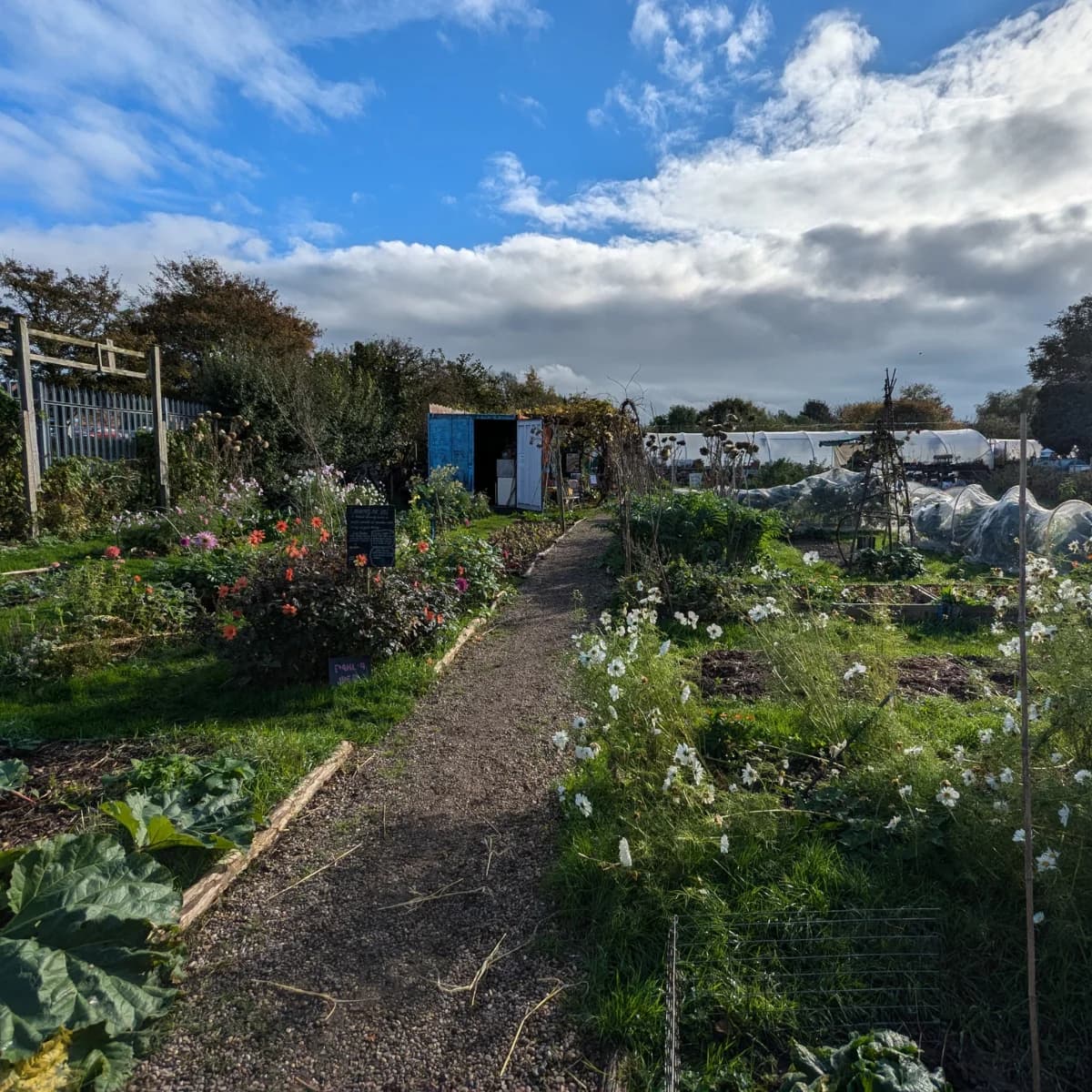 Windmill Community Gardens Margate