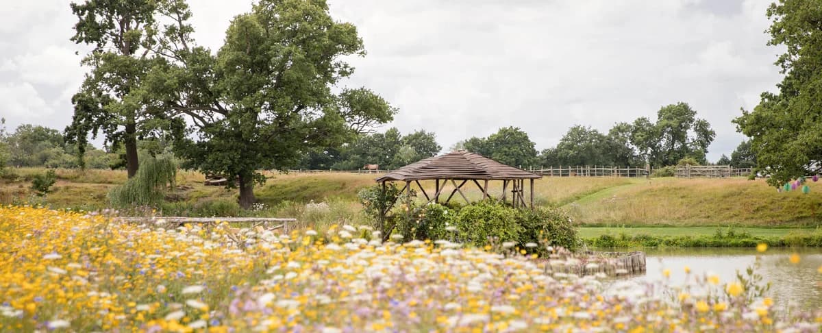 The Kent Meadow