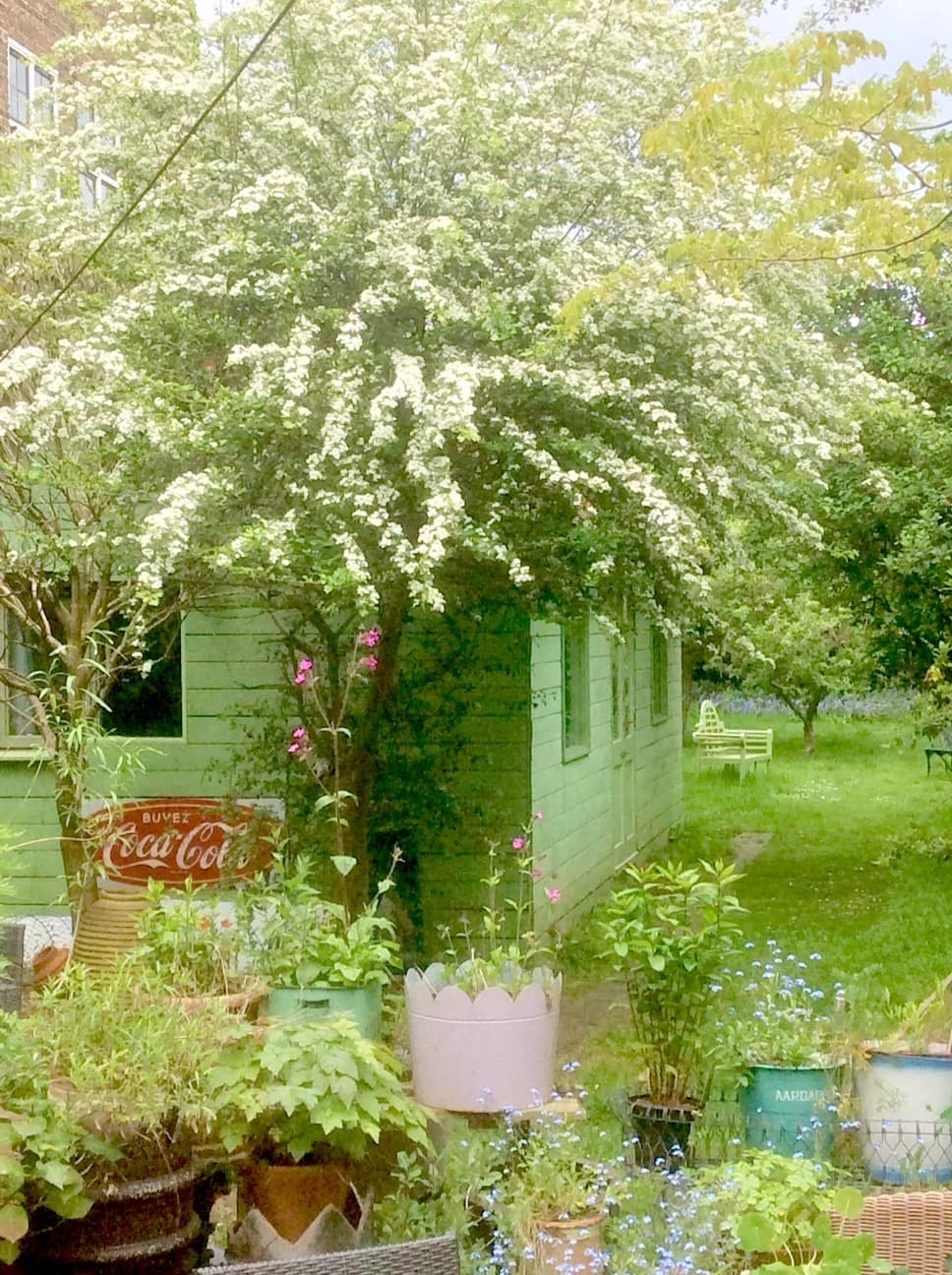 The Green Shed N10