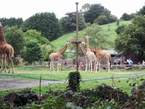 Paignton Zoo Environmental Park
