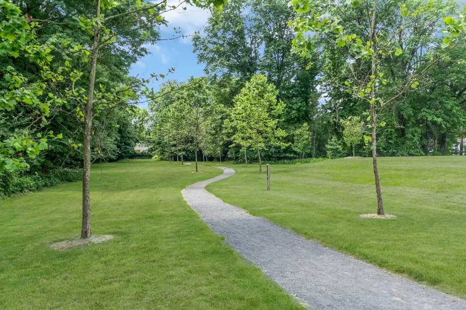 The Park