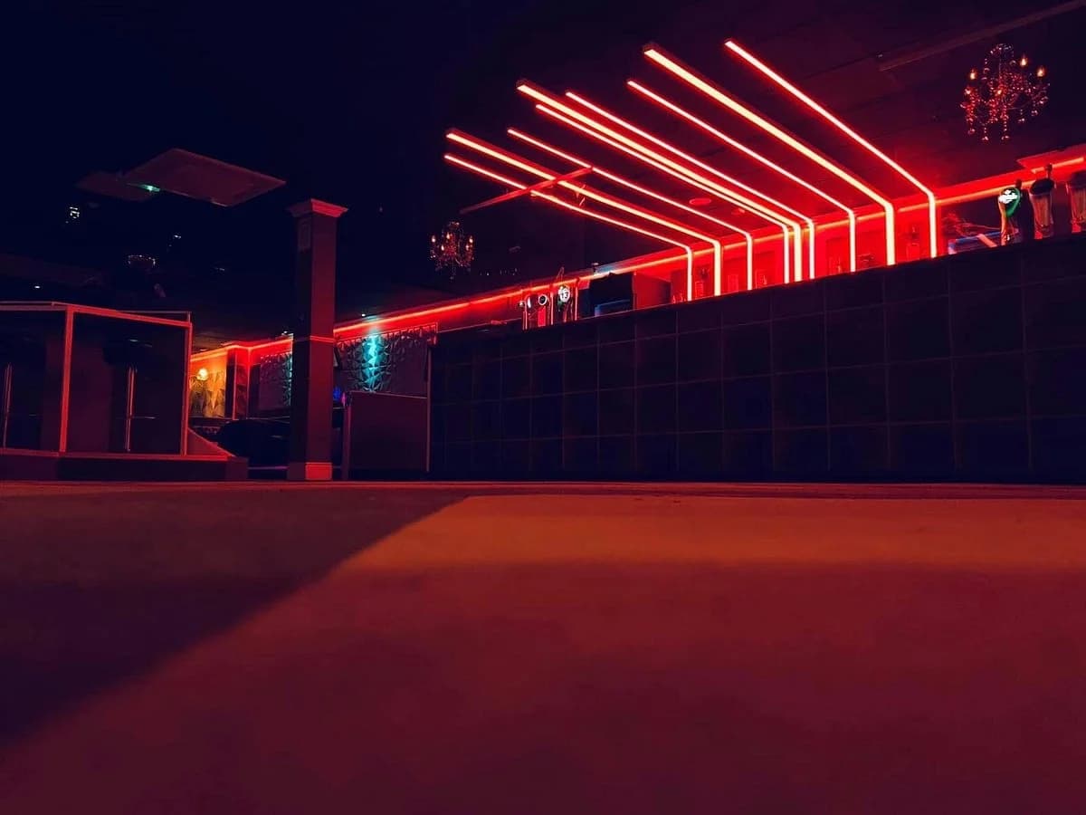 VIVID - Bar & Club