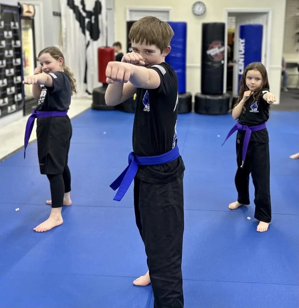 New Era Karate