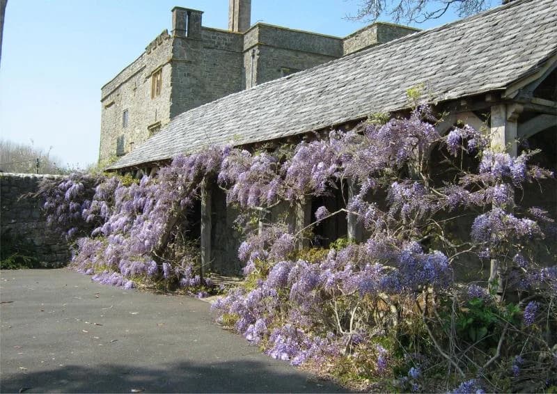 East Quantoxhead Village Hall