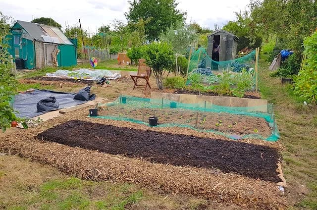 Rosendale Allotments