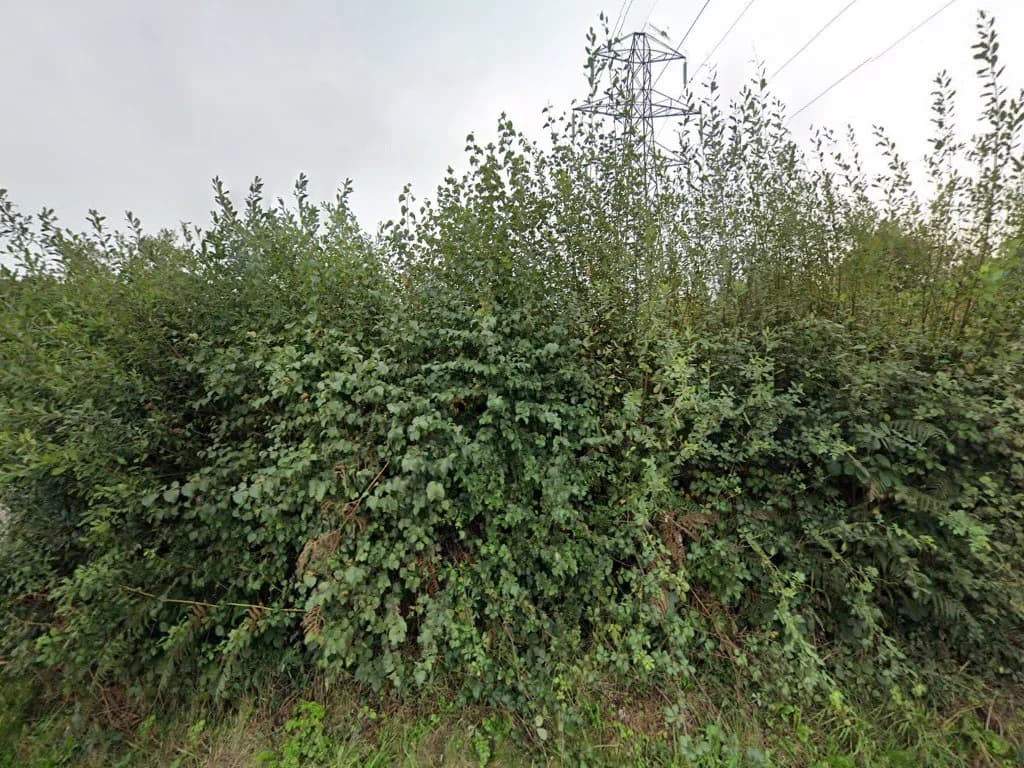 Blackdown Village Hall