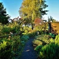 St. Peter's Community Hall and Gardens