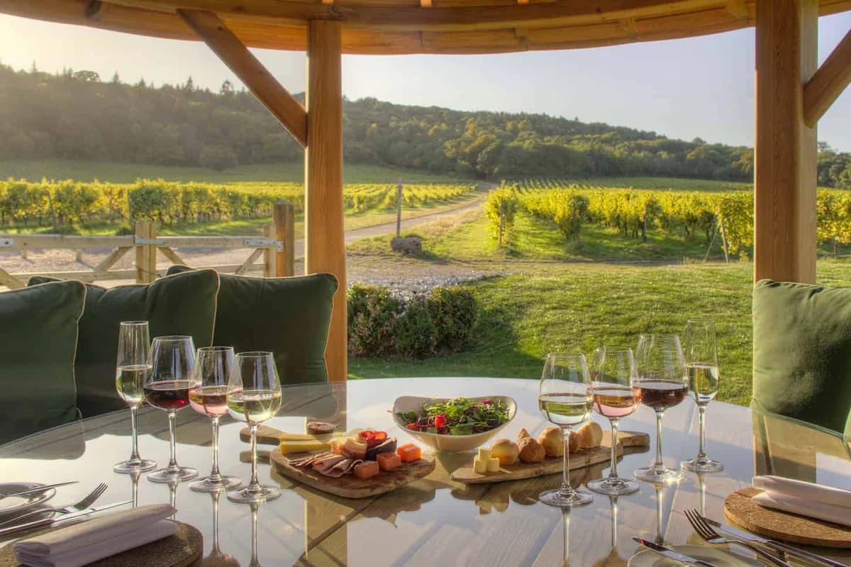Denbies Wine Estate