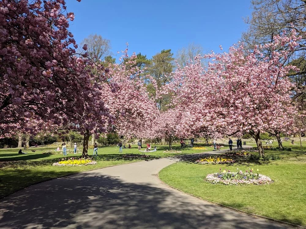 The Town Gardens
