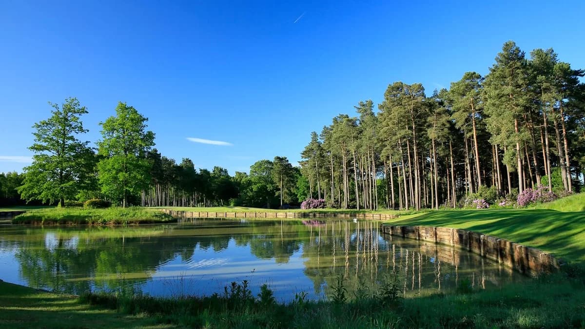 Bearwood Lakes