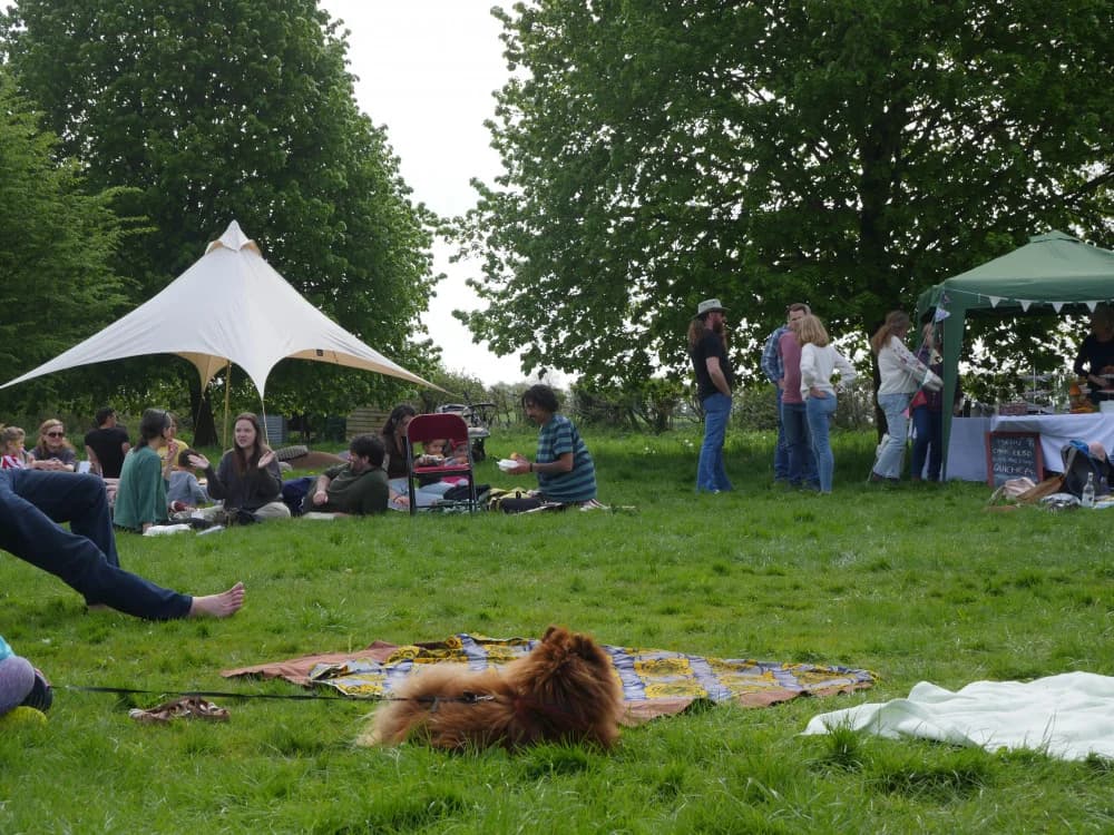 Phoenix Project Frome