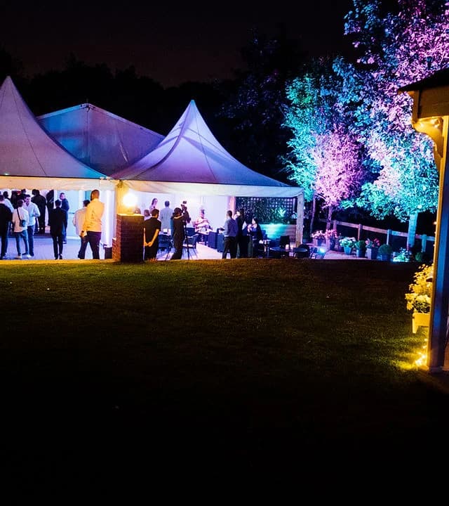 The Beaverwood