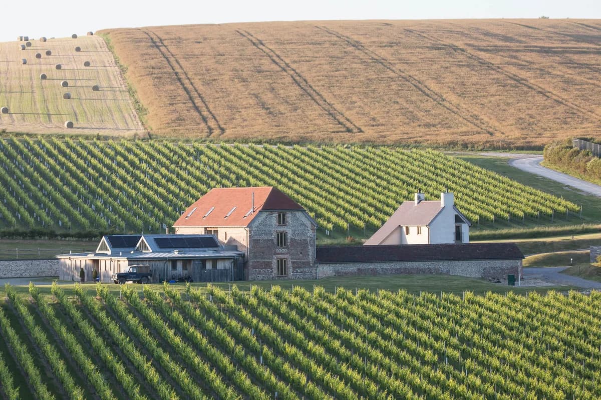 Rathfinny Wine Estate - The Flint Barns & Rathfinny Cottage