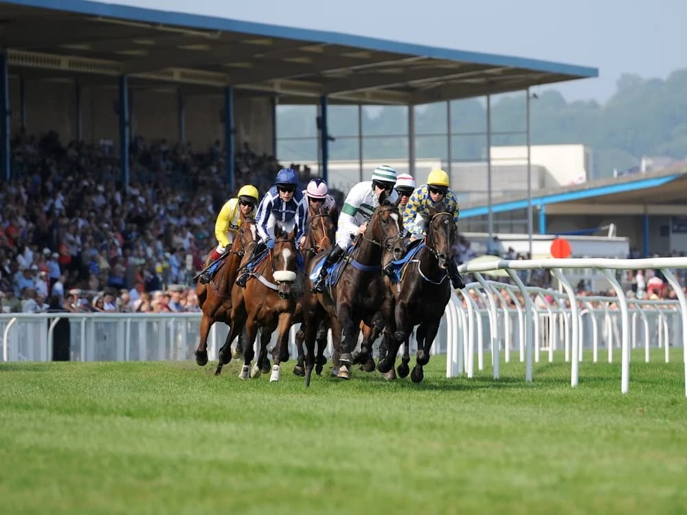 Newton Abbot Races Ltd