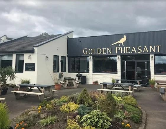 The Golden Pheasant