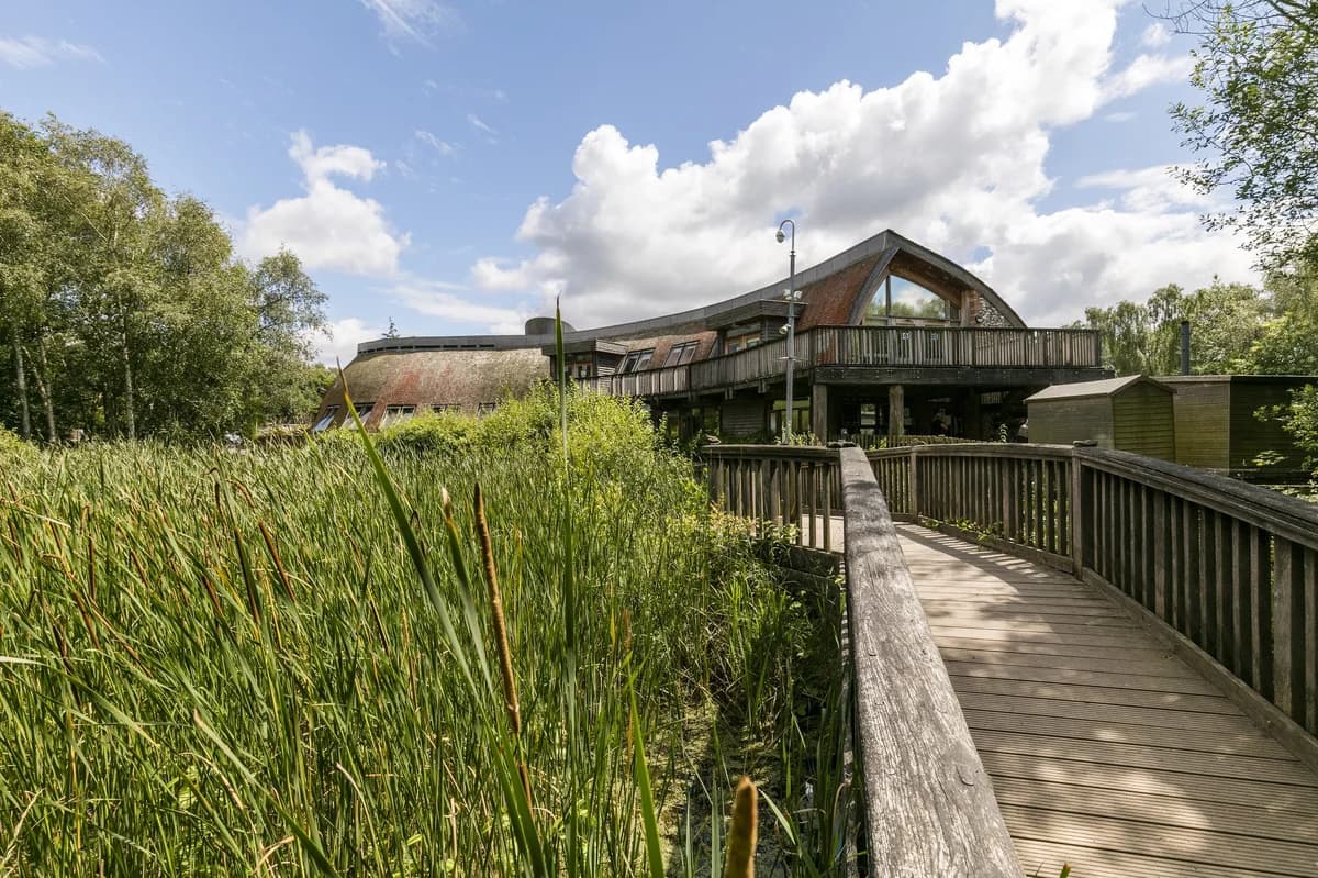Shorne Woods Country Park