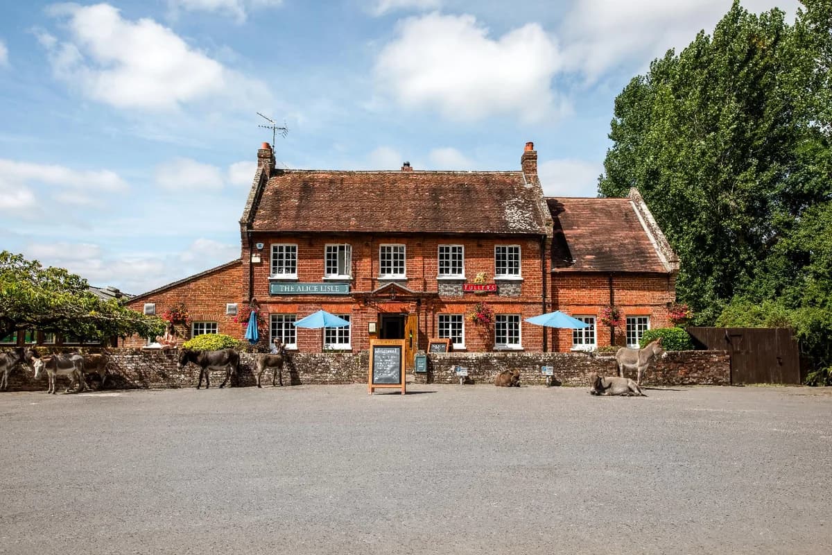 The Alice Lisle, Ringwood